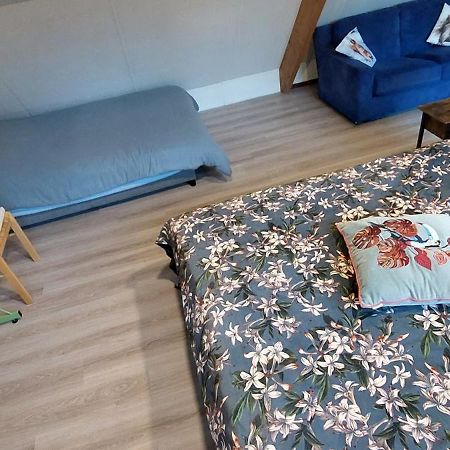 Superior Familiekamer 4 Personen Of Privekamer 2 Personen Anna Paulowna Екстериор снимка